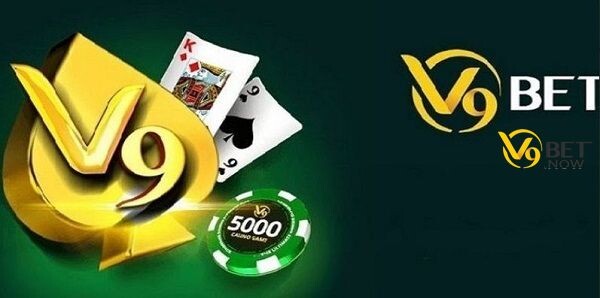 Quy định về phương pháp thu thập thông tin cược thủ cá cược tại nhà cái V9bet